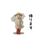 お猫様の吹き出しスタンプ9（個別スタンプ：7）