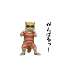 お猫様の吹き出しスタンプ9（個別スタンプ：11）
