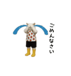 お猫様の吹き出しスタンプ9（個別スタンプ：13）