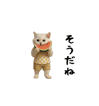 お猫様の吹き出しスタンプ9（個別スタンプ：16）