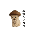 面白にゃんこ(ダジャレ2)（個別スタンプ：1）