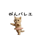 面白にゃんこ(ダジャレ2)（個別スタンプ：3）
