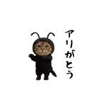 面白にゃんこ(ダジャレ2)（個別スタンプ：4）