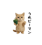 面白にゃんこ(ダジャレ2)（個別スタンプ：8）