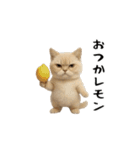 面白にゃんこ(ダジャレ2)（個別スタンプ：12）
