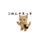 面白にゃんこ(ダジャレ2)（個別スタンプ：19）