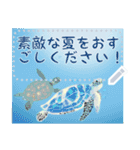 夏を感じるメッセージスタンプ（個別スタンプ：13）