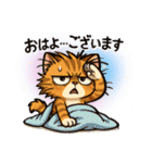 ツンデレ猫スネ吉の毎日スタンプ6（個別スタンプ：1）