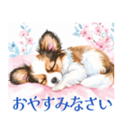 水彩感じるパピヨンスタンプ（個別スタンプ：6）