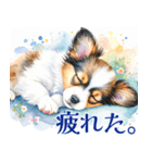 水彩感じるパピヨンスタンプ（個別スタンプ：11）