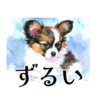 水彩感じるパピヨンスタンプ（個別スタンプ：16）