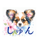 水彩感じるパピヨンスタンプ（個別スタンプ：36）