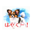 水彩感じるパピヨンスタンプ（個別スタンプ：38）