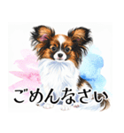 水彩感じるパピヨンスタンプ（個別スタンプ：39）