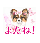水彩感じるパピヨンスタンプ（個別スタンプ：40）