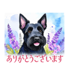 水彩感じるスコティッシュ・テリアスタンプ（個別スタンプ：10）