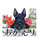 水彩感じるスコティッシュ・テリアスタンプ（個別スタンプ：12）