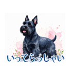 水彩感じるスコティッシュ・テリアスタンプ（個別スタンプ：13）