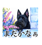 水彩感じるスコティッシュ・テリアスタンプ（個別スタンプ：18）