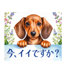 水彩感じるダックスフントスタンプ（個別スタンプ：5）