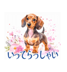 水彩感じるダックスフントスタンプ（個別スタンプ：10）