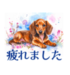 水彩感じるダックスフントスタンプ（個別スタンプ：12）