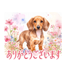 水彩感じるダックスフントスタンプ（個別スタンプ：29）