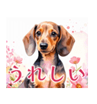 水彩感じるダックスフントスタンプ（個別スタンプ：30）