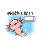 まいにちウーパーの夏！（個別スタンプ：4）