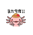 まいにちウーパーの夏！（個別スタンプ：9）