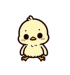 [アレンジ用]ピヨピヨ2（個別スタンプ：8）