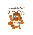 おかんシュリンプ！（個別スタンプ：5）