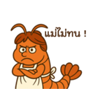 おかんシュリンプ！（個別スタンプ：17）
