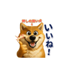 柴犬さんの素直な気持ち（個別スタンプ：3）
