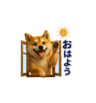 柴犬さんの素直な気持ち（個別スタンプ：5）