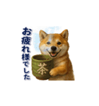 柴犬さんの素直な気持ち（個別スタンプ：8）