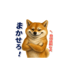 柴犬さんの素直な気持ち（個別スタンプ：14）