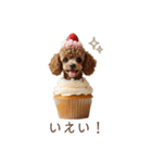 トイプードルカップケーキ♡（個別スタンプ：27）