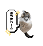 COCO TAKEMOTO -season 4-（個別スタンプ：2）