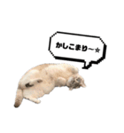 COCO TAKEMOTO -season 4-（個別スタンプ：6）