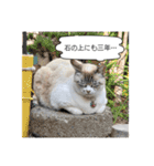 COCO TAKEMOTO -season 4-（個別スタンプ：25）