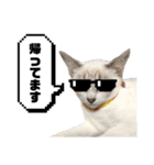 COCO TAKEMOTO -season 4-（個別スタンプ：35）