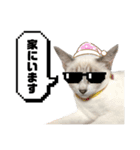 COCO TAKEMOTO -season 4-（個別スタンプ：36）