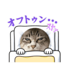COCO TAKEMOTO -season 4-（個別スタンプ：40）