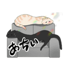 黒猫けいくんのわちゃわちゃスタンプ（個別スタンプ：4）