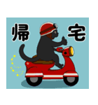 黒猫けいくんのわちゃわちゃスタンプ（個別スタンプ：19）