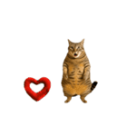 ぽっちゃりキジ猫の「ダイエットあるある」（個別スタンプ：4）
