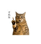 ぽっちゃりキジ猫の「ダイエットあるある」（個別スタンプ：10）