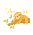 ナマケモノのスタンプ1（個別スタンプ：11）