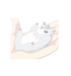 withハムスター（個別スタンプ：5）